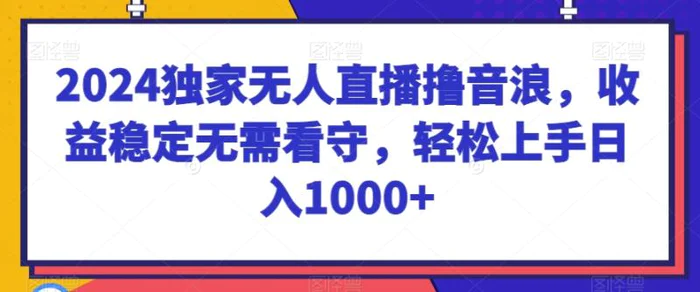 图片[1]-2024独家无人直播撸音浪，收益稳定无需看守，轻松上手日入1000+【揭秘】-蛙蛙资源网