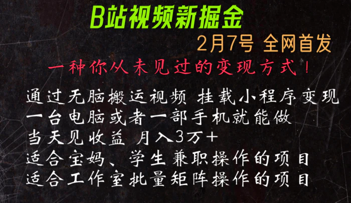 图片[1]-通过搬运视频发到B站，挂载变现小程序进行变现-蛙蛙资源网