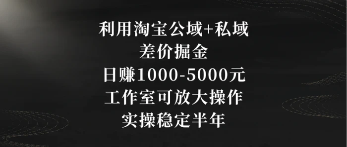 图片[1]-（8952期）利用淘宝公域+私域差价掘金，日赚1000-5000元，工作室可放大操作，实操稳定半年-蛙蛙资源网