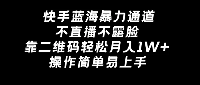 图片[1]-（8961期）快手蓝海暴力通道，不直播不露脸，靠二维码轻松月入1W+，操作简单易上手-蛙蛙资源网