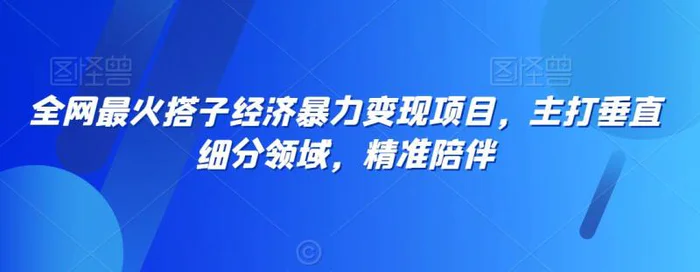 图片[1]-全网最火搭子经济暴力变现项目，主打垂直细分领域，精准陪伴【揭秘】-蛙蛙资源网