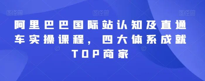 图片[1]-阿里巴巴国际站认知及直通车实操课程，四大体系成就TOP商家-蛙蛙资源网