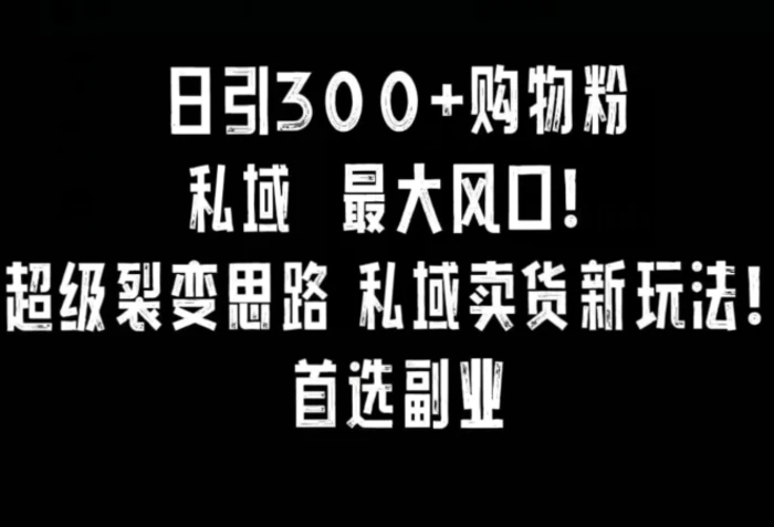 图片[1]-日引300+购物粉，超级裂变思路，私域卖货新玩法，小红书首选副业【揭秘】-蛙蛙资源网