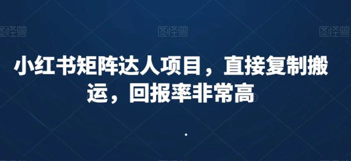 图片[1]-小红书矩阵达人项目，直接复制搬运，回报率非常高-蛙蛙资源网