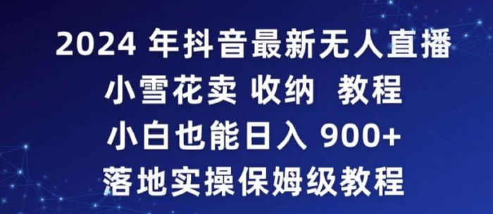 图片[1]-2024年抖音最新无人直播小雪花卖收纳教程，小白也能日入900+落地实操保姆级教程-蛙蛙资源网