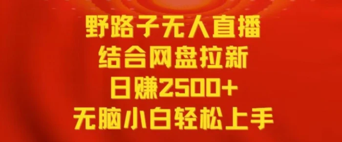 图片[1]-野路子无人直播结合网盘拉新，日赚2500+，小白无脑轻松上手-蛙蛙资源网