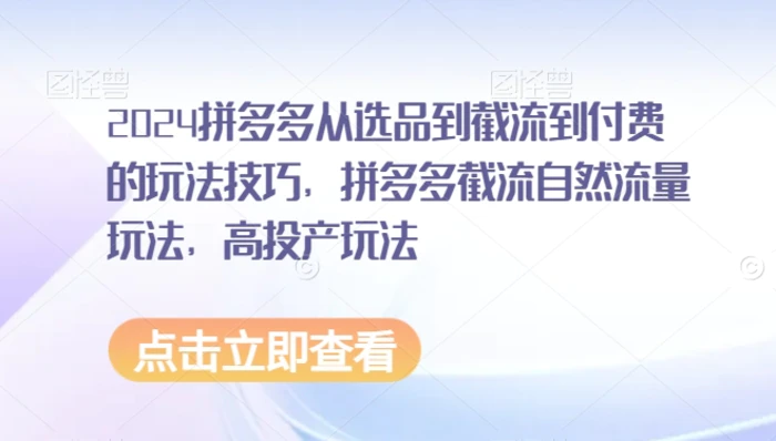 图片[1]-2024拼多多从选品到截流到付费的玩法技巧，拼多多截流自然流量玩法，高投产玩法-蛙蛙资源网