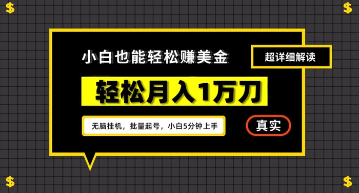 图片[2]-谷歌看广告撸美金2.0，无脑挂机，多号操作，月入1万刀-蛙蛙资源网