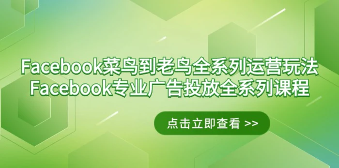 图片[1]-（9065期）Facebook-菜鸟到老鸟全系列运营玩法+Facebook-专业广告投放全系列课程-蛙蛙资源网