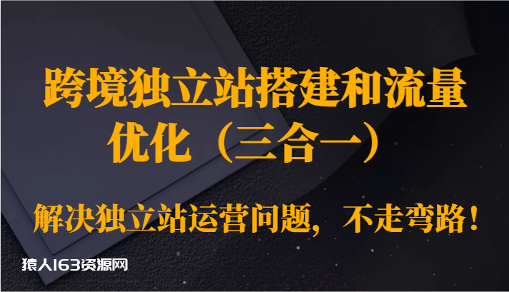 图片[1]-跨境独立站搭建和流量优化（三合一）解决独立站运营问题，不走弯路！-蛙蛙资源网