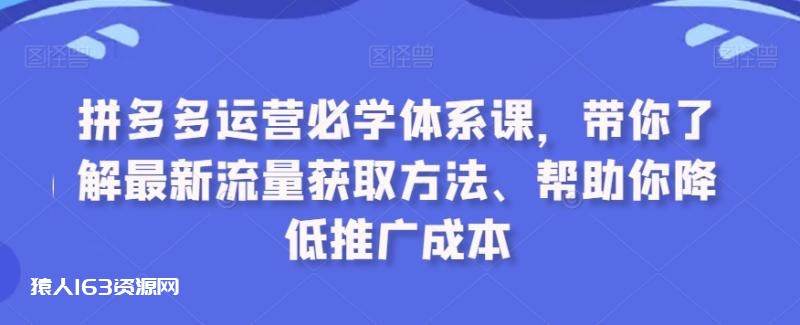 图片[1]-拼多多运营必学体系课，带你了解最新流量获取方法、帮助你降低推广成本-蛙蛙资源网