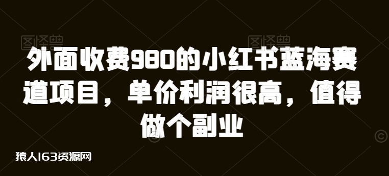 外面收费980的小红书蓝海赛道项目，单价利润很高，值得做个副业