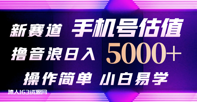 图片[1]-（10154期）抖音不出境直播【手机号估值】最新撸音浪，日入5000+，简单易学，适合…-蛙蛙资源网