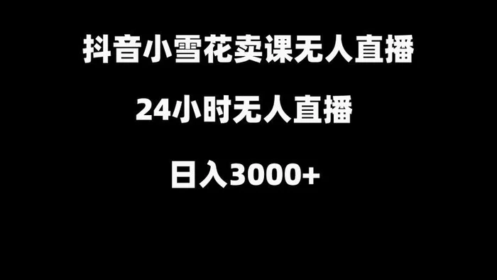 图片[1]-抖音小雪花卖缝补收纳教学视频课程，无人直播日入3000+-蛙蛙资源网