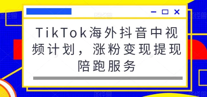 图片[1]-TikTok海外抖音中视频计划，涨粉变现提现陪跑服务-蛙蛙资源网