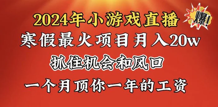 图片[1]-（8778期）2024年寒假爆火项目，小游戏直播月入20w+，学会了之后你将翻身-蛙蛙资源网