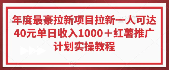 图片[1]-年度最豪拉新项目拉新一人可达40元单日收入1000＋红薯推广计划实操教程【揭秘】-蛙蛙资源网