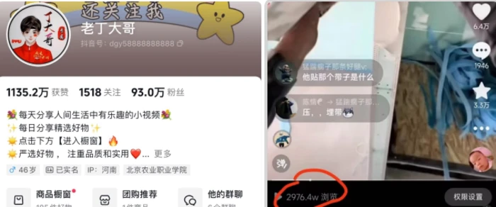 图片[2]-老丁模板搬运术：抖音90万粉丝博主搬运技术-蛙蛙资源网