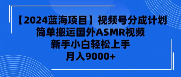 图片[1]-（9743期）【2024蓝海项目】视频号分成计划，无脑搬运国外ASMR视频，新手小白轻松上手 月入9000+-蛙蛙资源网