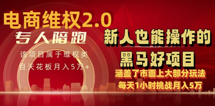 图片[1]-电商维权 4.0 如何做到月入 5 万+每天 1 小时新人也能快速上手【仅揭秘】-蛙蛙资源网