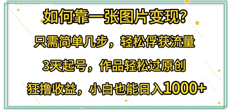 图片[1]-如何靠一张图片变现?只需简单几步，轻松俘获流量，3天起号，作品轻松过原创-蛙蛙资源网