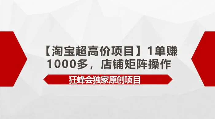 图片[1]-【淘宝超高价项目】1单赚1000多，店铺矩阵操作-蛙蛙资源网