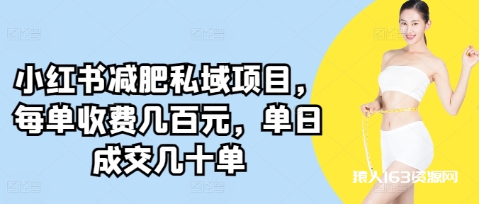 小红书减肥私域项目，每单收费几百元，单日成交几十单