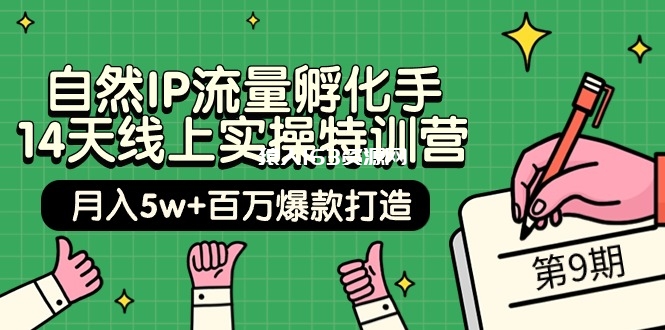 图片[1]-（9881期）自然IP流量孵化手 14天线上实操特训营【第9期】月入5w+百万爆款打造 (74节)-蛙蛙资源网