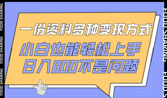 图片[1]-一份资料多种变现方式，小白也能轻松上手，日入800不是问题-蛙蛙资源网