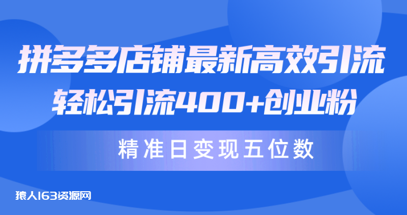 图片[1]-（10041期）拼多多店铺最新高效引流术，轻松引流400+创业粉，精准日变现五位数！-蛙蛙资源网