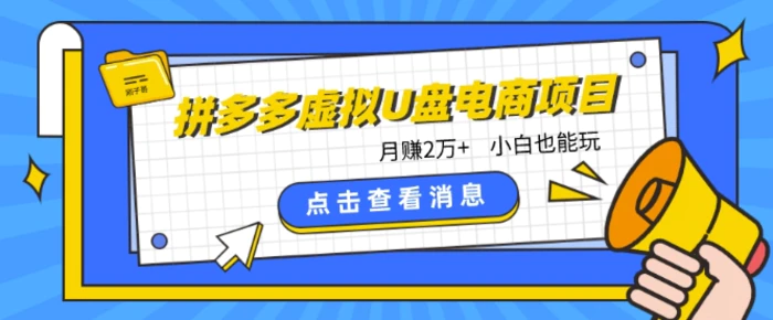 图片[1]-拼多多虚拟U盘电商红利项目：月赚2万+，新手小白也能玩-蛙蛙资源网