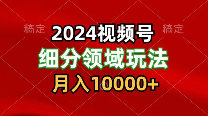 图片[1]-2024视频号分成计划细分领域玩法，每天5分钟，月入1W+-蛙蛙资源网