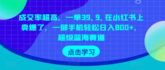 成交率超高，一单39.9.在小红书上卖爆了，一部手机轻松日入800+，超级蓝海赛道