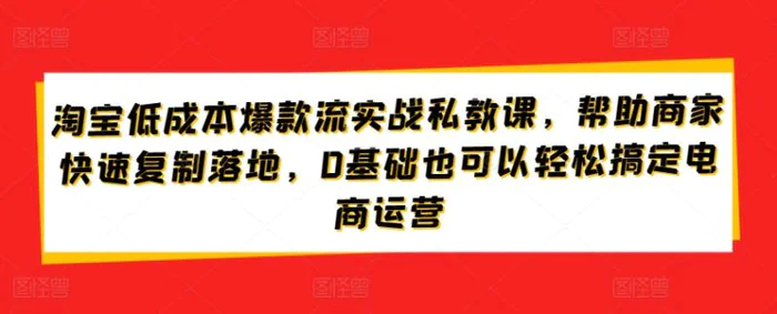 图片[1]-淘宝低成本爆款流实战私教课，帮助商家快速复制落地，0基础也可以轻松搞定电商运营-蛙蛙资源网