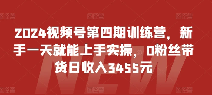 图片[1]-2024视频号第四期训练营，新手一天就能上手实操，0粉丝带货日收入3455元-蛙蛙资源网