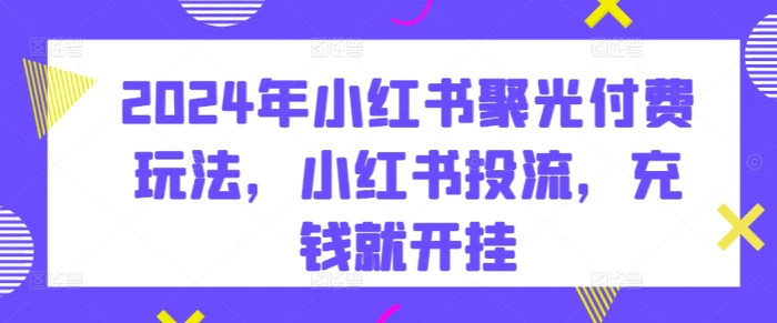 图片[1]-2024年小红书聚光付费玩法，小红书投流，充钱就开挂-蛙蛙资源网