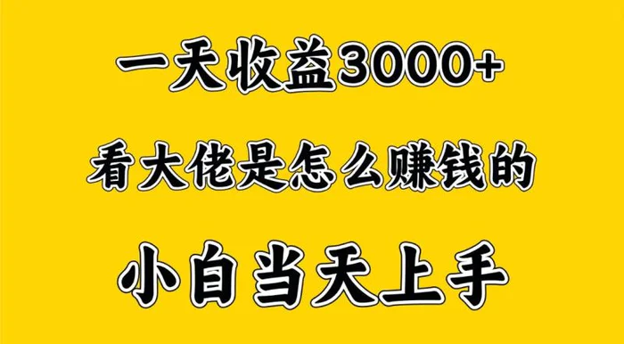 图片[1]-一天赚3000多，大佬是这样赚到钱的，小白当天上手，穷人翻身项目-蛙蛙资源网