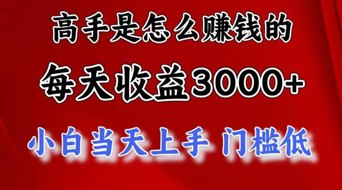 图片[1]-高手是怎么一天赚3000+的，小白当天上手，翻身项目，非常稳定。-蛙蛙资源网