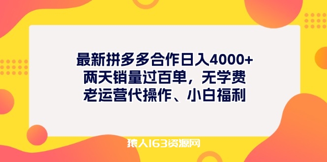 图片[1]-（11410期）最新拼多多项目日入4000+两天销量过百单，无学费、老运营代操作、小白福利-蛙蛙资源网