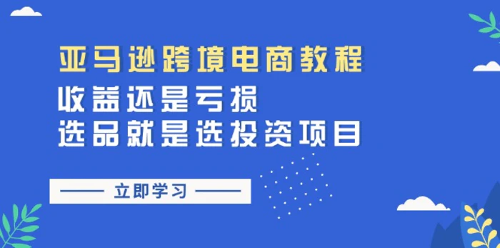 图片[1]-（11432期）亚马逊跨境电商教程：收益还是亏损！选品就是选投资项目-蛙蛙资源网