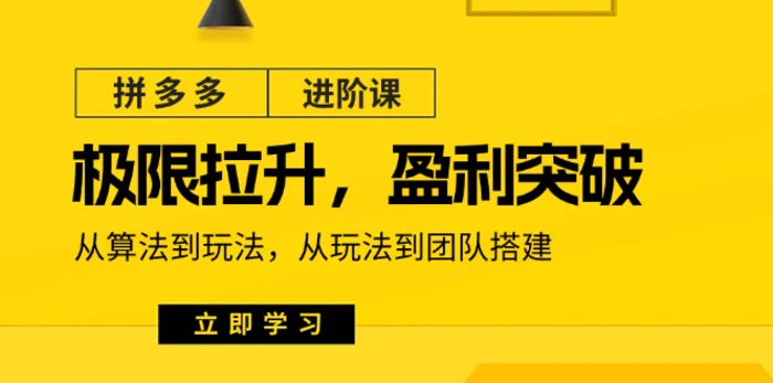 图片[1]-拼多多进阶课：极限拉升/盈利突破：从算法到玩法 从玩法到团队搭建（18节）-蛙蛙资源网