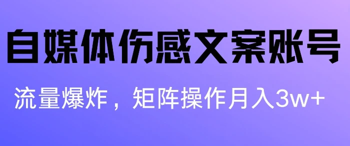 图片[1]-自媒体伤感文案账号，制作简单，流量爆炸账号很容易复制，矩阵月入1W+-蛙蛙资源网