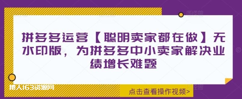 图片[1]-拼多多运营【聪明卖家都在做】无水印版，为拼多多中小卖家解决业绩增长难题-蛙蛙资源网