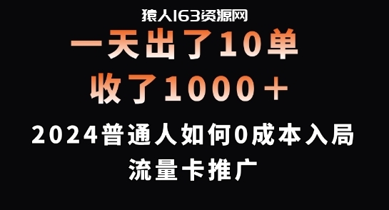 图片[1]-一天出了10单，收了1000+，2024普通人如何0成本入局流量卡推广【揭秘】-蛙蛙资源网