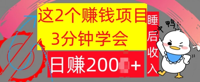 图片[1]-这2个项目，3分钟学会，日赚几张，懒人捡钱-蛙蛙资源网