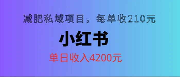 图片[1]-小红书减肥私域项目，每单210元，单日可卖出15单，利润3150-蛙蛙资源网