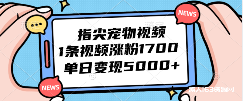 图片[1]-（12549期）指尖宠物视频，1条视频涨粉1700，单日变现5000+-蛙蛙资源网